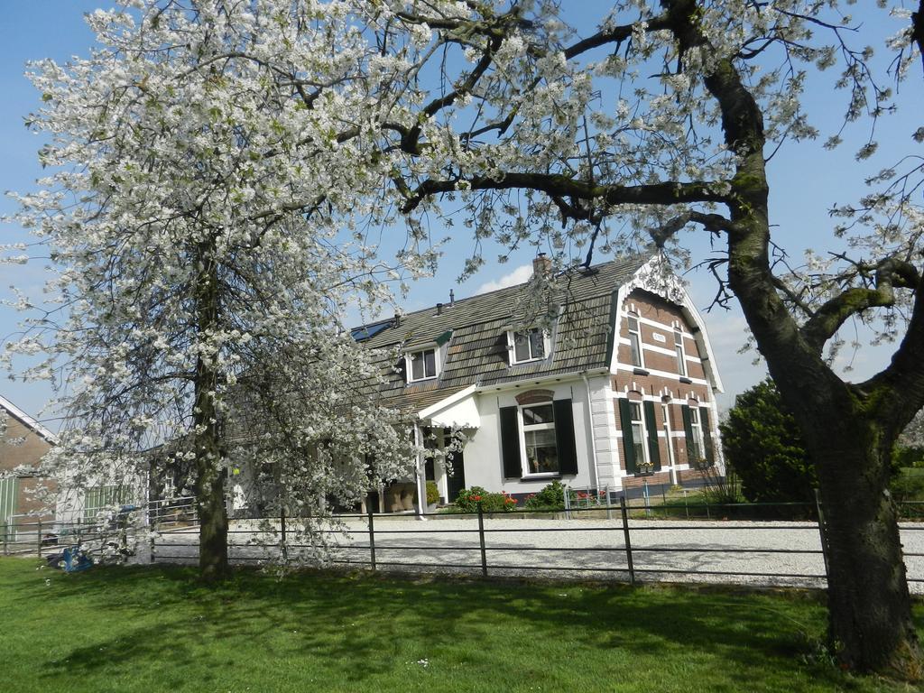 B&B De Bloesemgaard Eck en Wiel Esterno foto