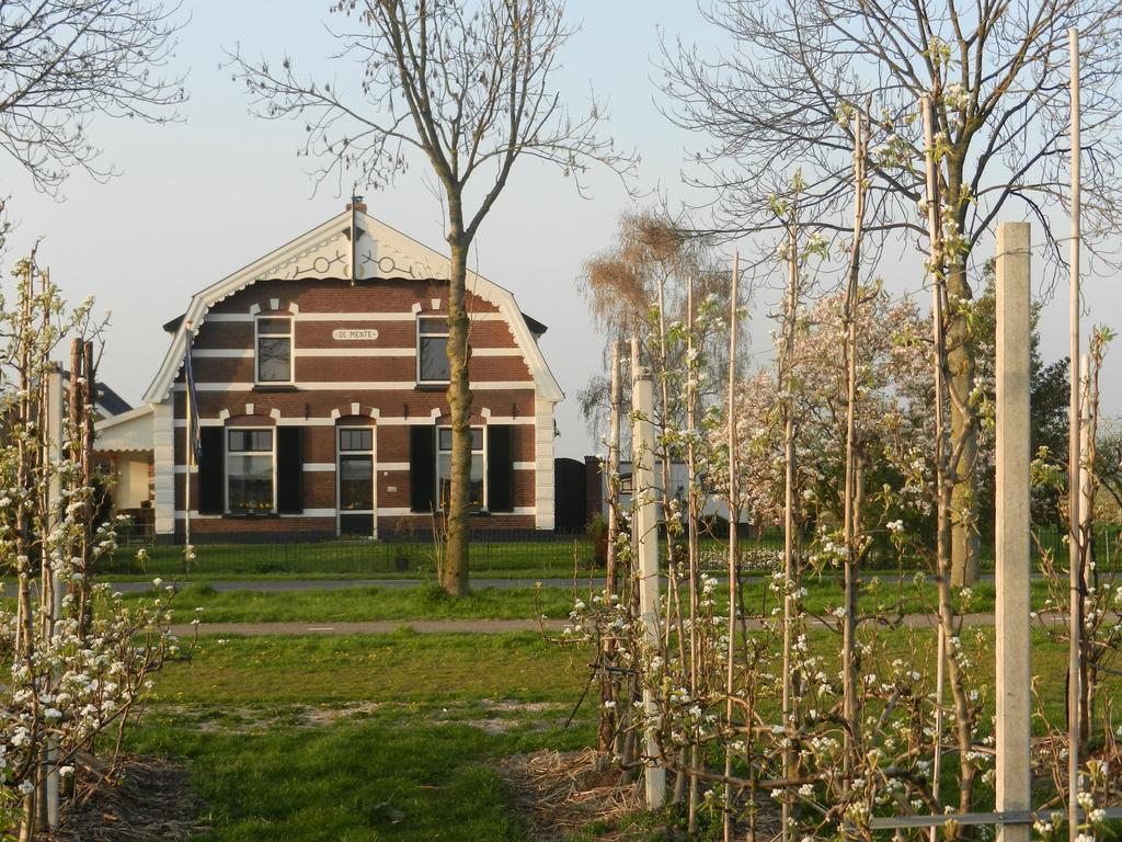 B&B De Bloesemgaard Eck en Wiel Esterno foto